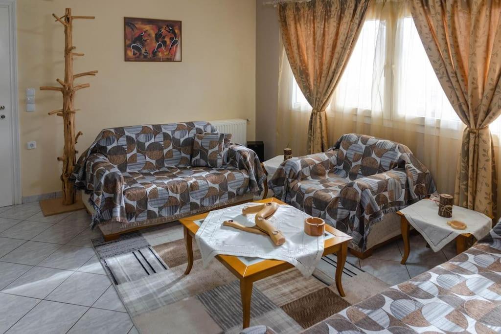 Dimitri'S Mountain House Appartement Karpenisi Buitenkant foto