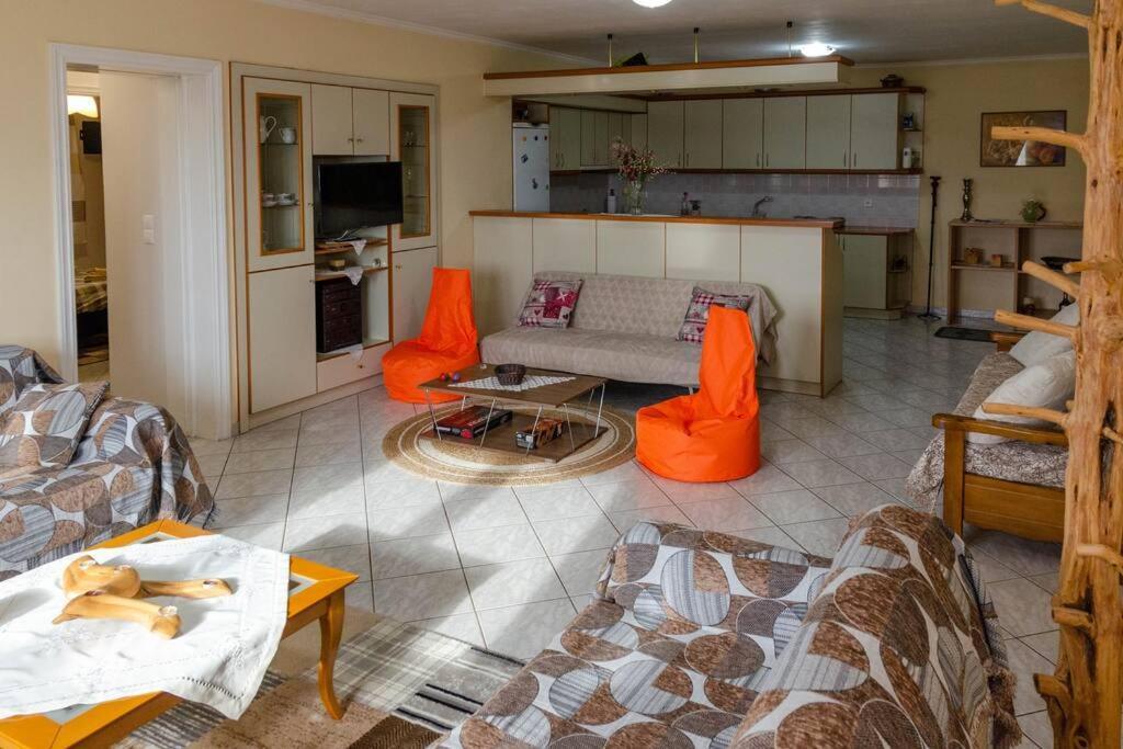 Dimitri'S Mountain House Appartement Karpenisi Buitenkant foto