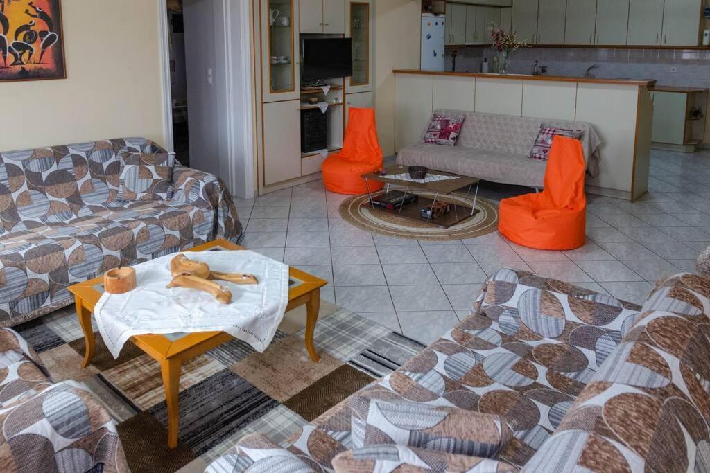 Dimitri'S Mountain House Appartement Karpenisi Buitenkant foto